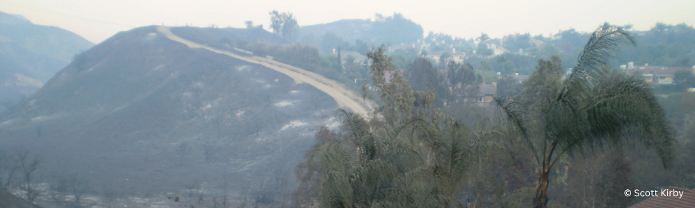 A ash-laden hillside after a fire.